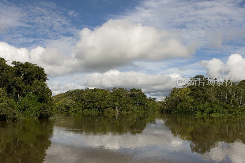 沿亚马逊雨林/乌卡亚利河